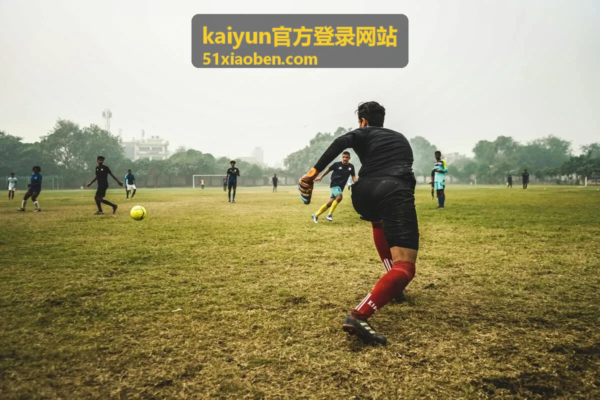 kaiyun官方登录网站备用通道切换与状态保持示意图