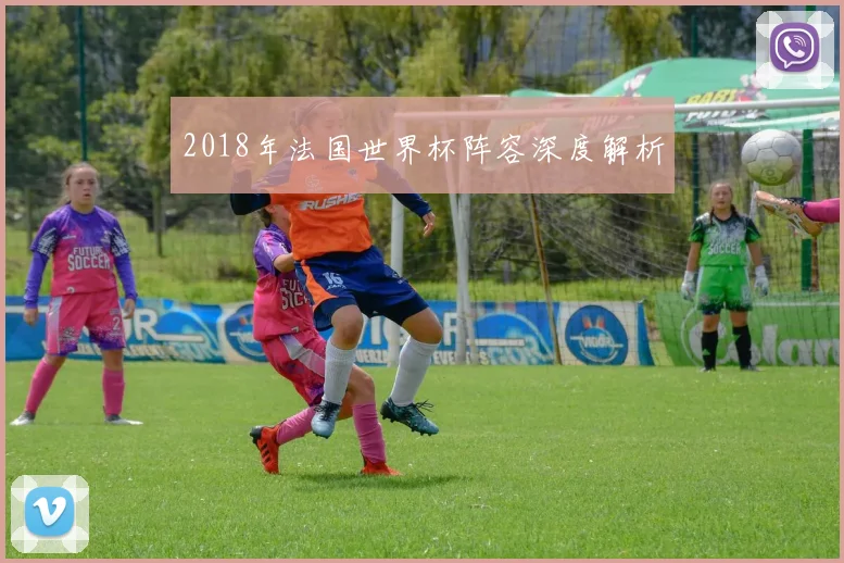 2018年法国世界杯阵容深度解析