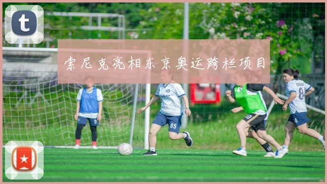 索尼克亮相东京奥运跨栏项目