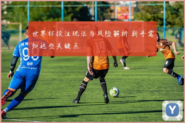 世界杯投注玩法与风险解析 新手需知这些关键点