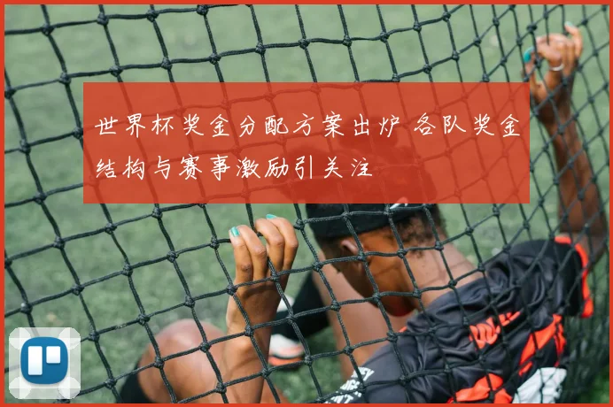 世界杯奖金分配方案出炉 各队奖金结构与赛事激励引关注